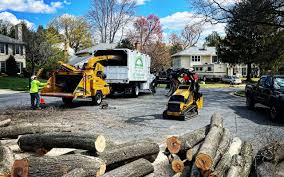 Best Lawn Watering Services  in Point Lookout, NY