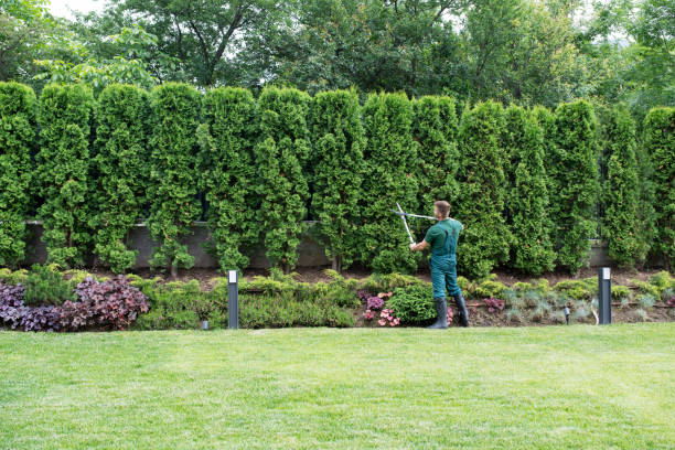 Best Tree Health Inspection  in Point Lookout, NY