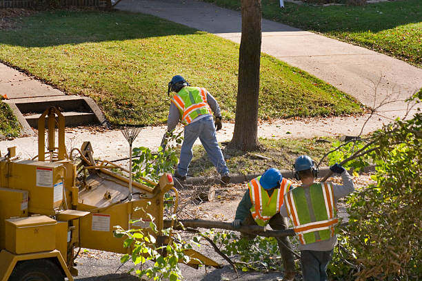 Best Tree Trimming and Pruning  in Point Lookout, NY