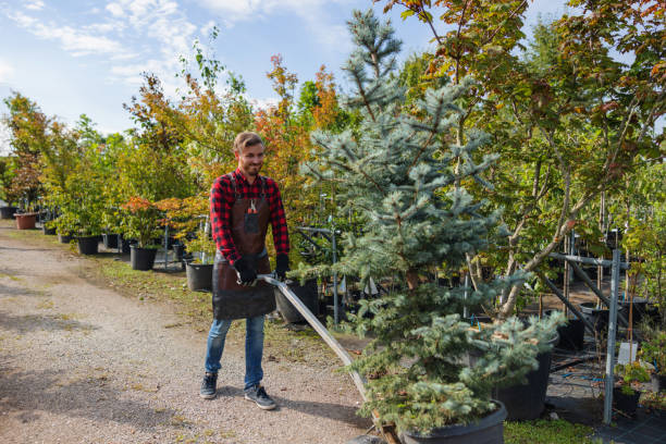 Seasonal Cleanup (Spring/Fall) in Point Lookout, NY