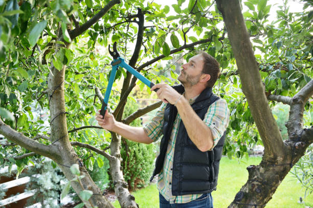Best Lawn Irrigation Installation and Maintenance  in Point Lookout, NY